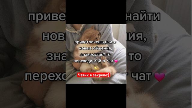 #общение#любовь#отношения#друзья#чат#телеграмм#знакомства смотреть онлайн