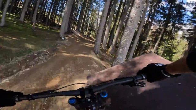 bikepark Leogang 2022 | Hangman 2 mit Rehkitz in der jumpline | mtb downhill смотреть онлайн