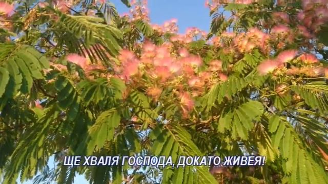 ХВАЛИ ГОСПОДА, ДУШЕ МОЯ смотреть онлайн