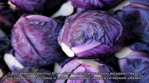 Вкусный салат из фиолетовой капусты