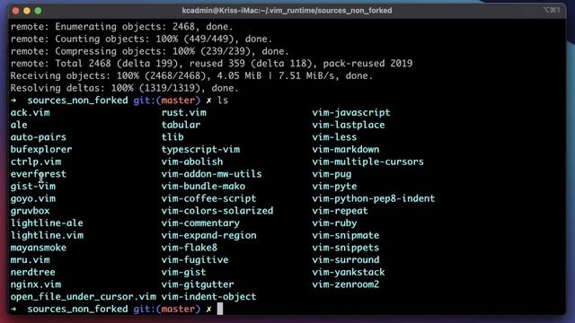 My Vim Is Cooler Than Yours - My Custom Vim Setup смотреть онлайн
