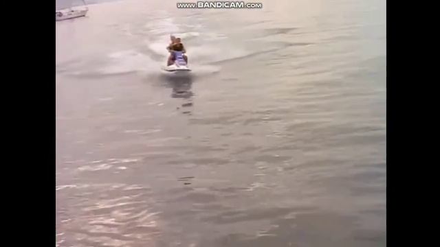 дилан брендона беверли хиллз 90210 смотреть онлайн