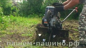 Обработка почвы культиватором с фрезами гусиные лапки в два прохода с разницей в две недели.