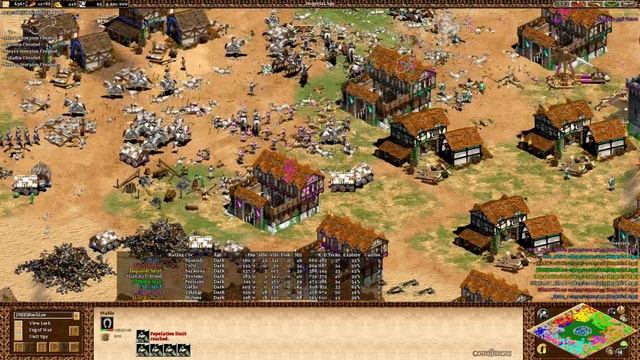 AoE2- Best Oasis Game Ever? смотреть онлайн