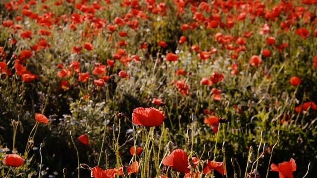 Марс в Скорпионе для мужчин смотреть онлайн