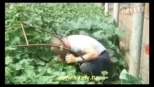 Лунтик с матом я смотрю смотреть онлайн