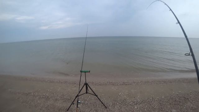 Рыбалка на пеленгаса!!!Как поймать пеленгаса ночью!!!!?Отчёт! смотреть онлайн