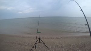 Рыбалка на пеленгаса!!!Как поймать пеленгаса ночью!!!!?Отчёт!