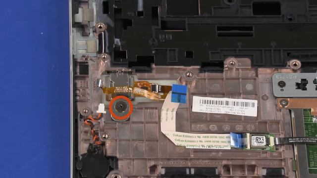 Replace the Fingerprint Reader Board | HP EliteBook 830 G5 Notebook | HP смотреть онлайн