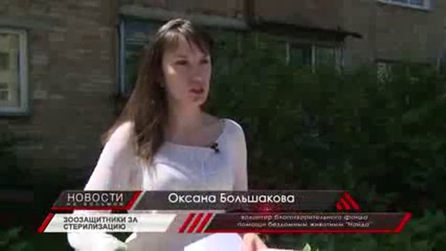 Во Владивостоке бродячие собаки покусали ребенка смотреть онлайн