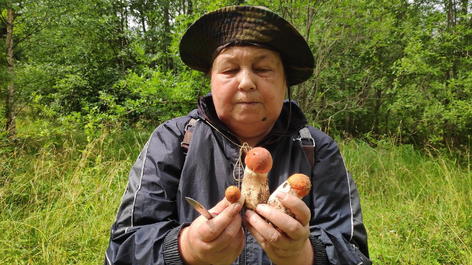 Собираем подосиновики в сентябре 2022. Пермь. смотреть онлайн