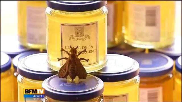 Les abeilles de La Tour d'argent смотреть онлайн