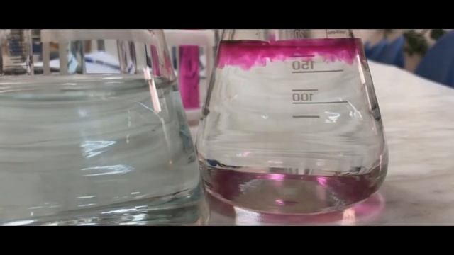 День качества в Дальрыбвтузе 2019.mp4 смотреть онлайн