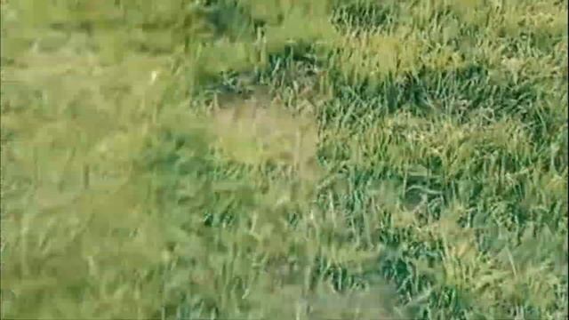 Дед показал идею, как сделать газонокосилку из триммера и легко косить траву смотреть онлайн