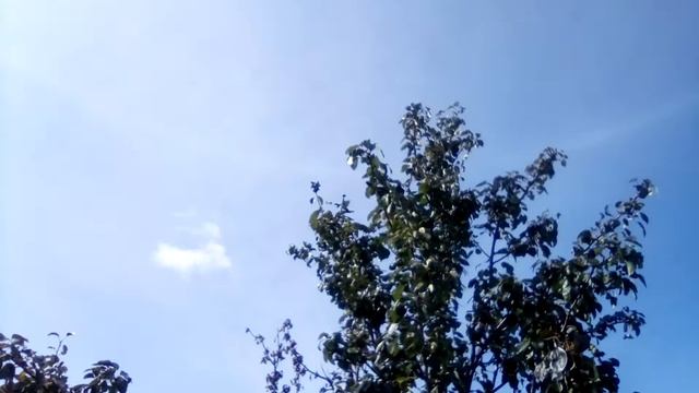 Нимб над домом смотреть онлайн