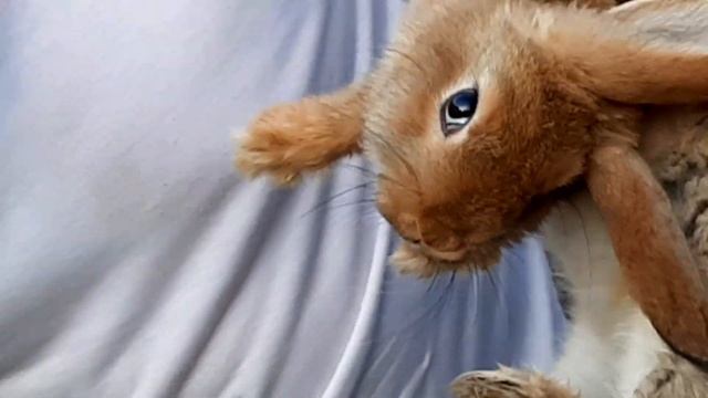 Заболел ? нужна помощь что делать? смотреть онлайн