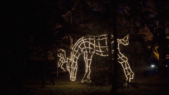 Christmas Garden Berlin 2016 | Offizieller Trailer - short version смотреть онлайн