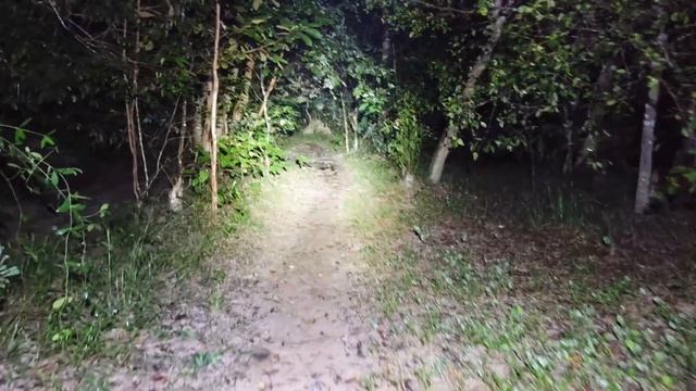 Wuben L1 Used As A HEADLAMP Spotlight: SST40 Floodlight: 519A High CRI Sponsored By FlashlightGo.co