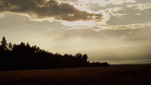 FIMI X8 se 2020 forest drone cinematic смотреть онлайн