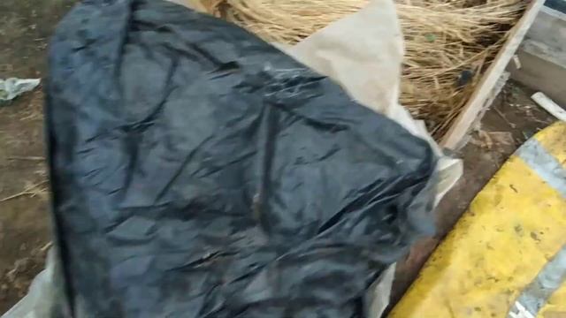 Зимовка червя старателя ( красный дождевой червь) смотреть онлайн