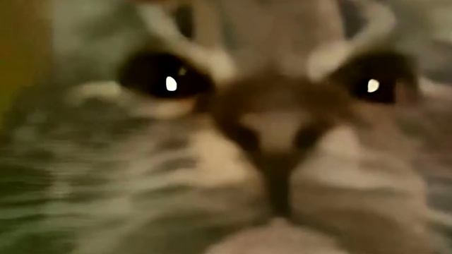 Кит вспомнил про геометрию смотреть онлайн