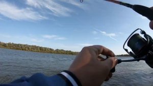 Окунь, берш на джиг риг  рыбалка на Оке Спиннинг с берега в заброд.mp4