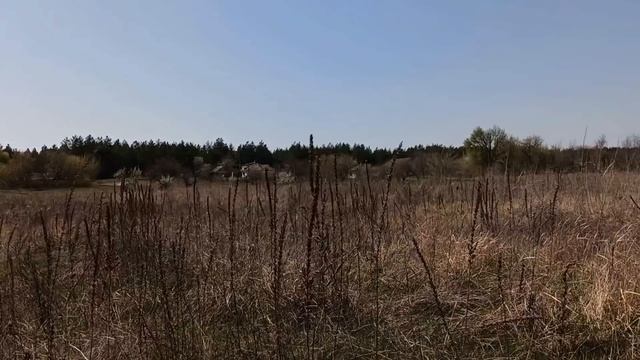 24 апреля народный праздник ДЕНЬ АНТИПА . народные приметы и традиции смотреть онлайн