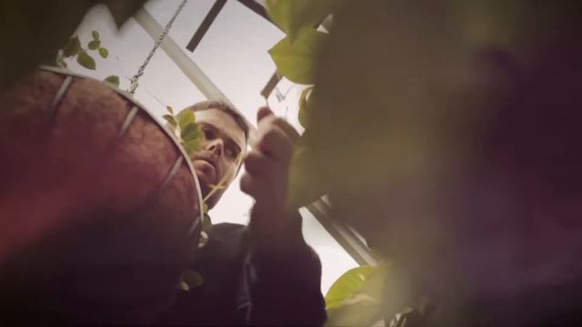 Grounds TV - Erin and his masterpiece, The Atrium смотреть онлайн