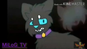 {Коты воители} {Клип} °•○●.{SOLO}.●○•°