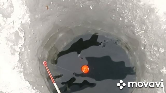 Рефтинское водохранилище . Как часто бывает на рыбалке . Эксперименты с насадкой . смотреть онлайн