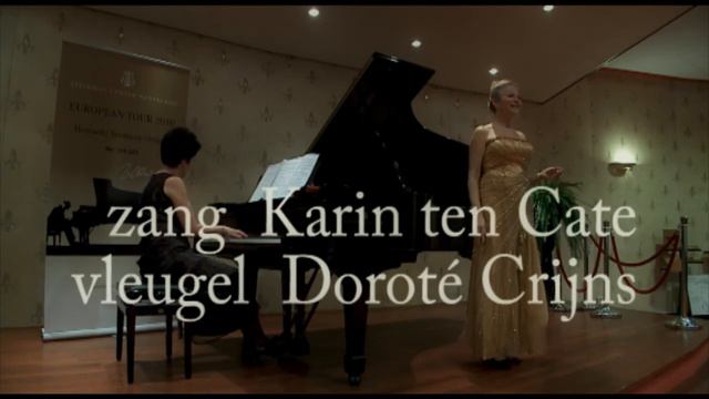 Horowitz vleugel met Karin ten Cate en Doroté Crijns смотреть онлайн