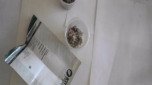 Как быстро очистить семена - своего сбора (анютки, маргаритки). смотреть онлайн