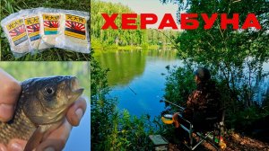 Тесто. Заброс. Поклёвка