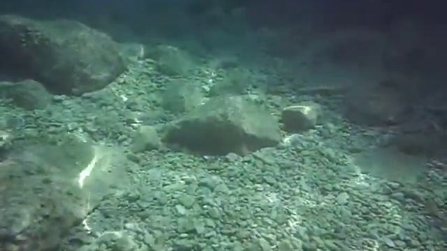 Брела Хорватия 07 июля 2013 Подводная съемка смотреть онлайн