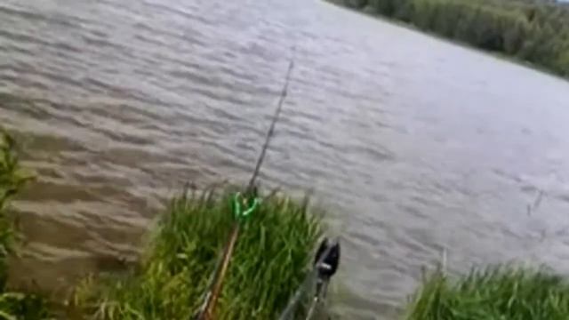 Fishing. Torbeevskoe lake. so͞oT͟HiNGMix. fishing for crucian carp in summer смотреть онлайн