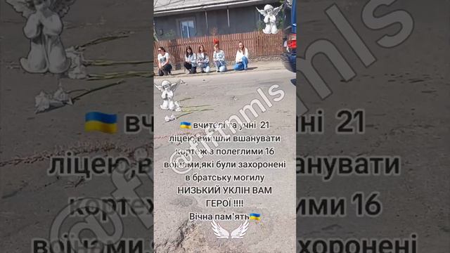 Всушников теперь отптовыми партиями хоронят смотреть онлайн