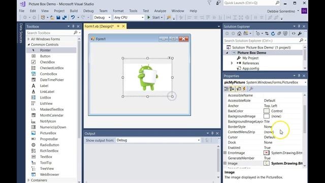 Picture Box Control And The Visible Property