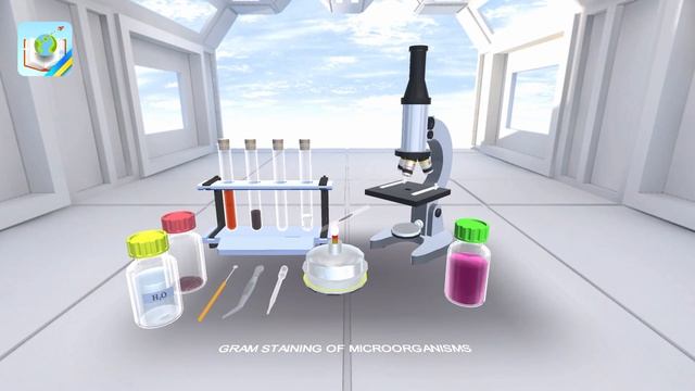 Gram staining of microorganisms смотреть онлайн