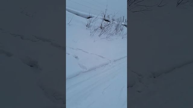 Переезд на Юг (начало)