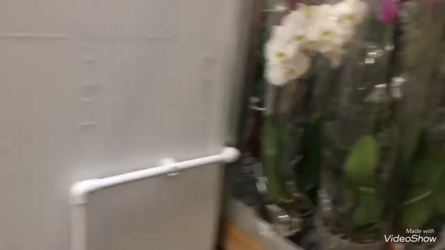 Много орхидей в Леруа Мытищи 17 марта смотреть онлайн