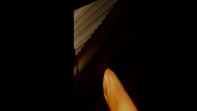 Kel-Tec KSG 15 Round (7+7+1) Shotgun In-Depth Tabletop Overview смотреть онлайн