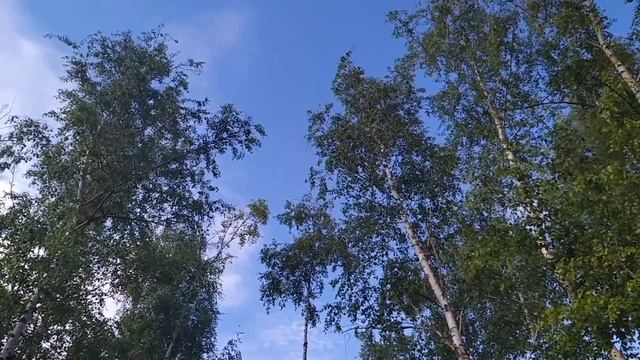 6 июля-ДЕНЬ АГРАФЕНЫ КУПАЛЬНИЦЫ.Сестра Ивана Купалы.Приметы.Традиции смотреть онлайн