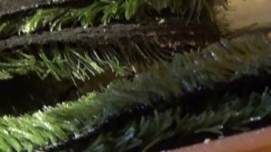 День из жизни КСК \ ГЕНЕРАЛЬНАЯ УБОРКА НА КОНЮШНЕ ЛОШАДИ ШЛЯЙХ