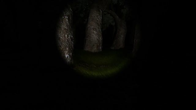 Survivers - Кирпичная кладка =) (16+)