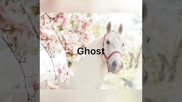 White horse names смотреть онлайн