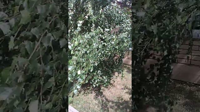Лазурный берег. Видео обзор. смотреть онлайн