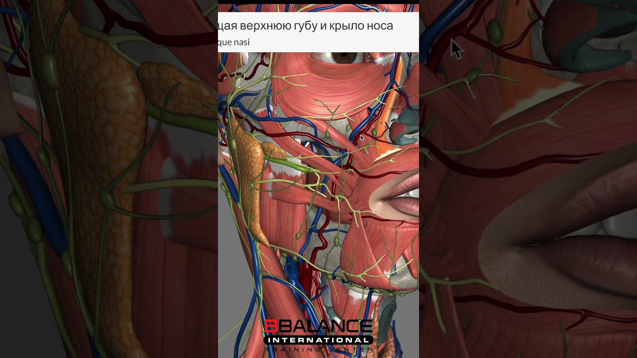 Полное видео с ответами на вопросы смотрите в нашей группе ВК и на Ютюб смотреть онлайн