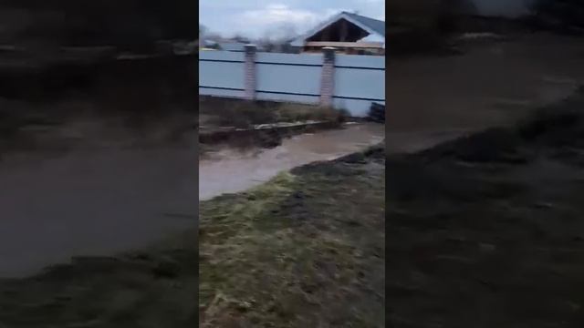 Нижнекамский дачный массив накрыло потоков дождевых и канализационных вод 5 смотреть онлайн
