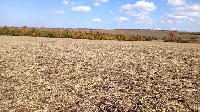 Царское серебро и пулы золотой орды смотреть онлайн