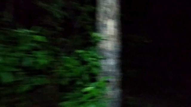 Рыбалка на Леща.?А я его дождался. ?Ночь, отдых.? смотреть онлайн